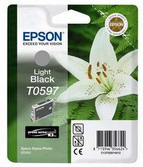 Epson T0597 цена и информация | Картриджи для струйных принтеров | pigu.lt