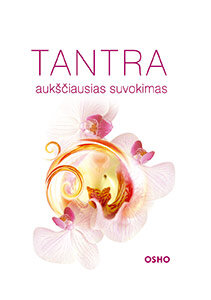 Tantra: suvokimas kaina ir informacija | Saviugdos knygos | pigu.lt