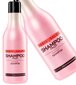 Universalus plaukų šampūnas Stapiz Basic Salon Fruit 1000 ml kaina ir informacija | Šampūnai | pigu.lt