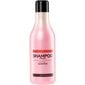 Universalus plaukų šampūnas Stapiz Basic Salon Fruit 1000 ml kaina ir informacija | Šampūnai | pigu.lt
