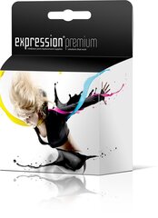 Expression C13T08044010 цена и информация | Картриджи для струйных принтеров | pigu.lt
