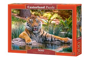Пазл Castorland Sumatran Tiger, 500 дет. цена и информация | Пазлы | pigu.lt