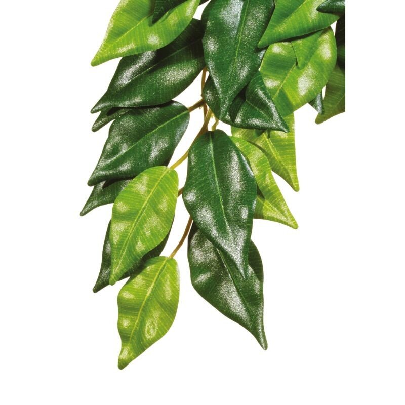 Dekoracija terariumams dirbtinis augalas Exoterra Ficus, M цена и информация | Prekės egzotiniams gyvūnams  | pigu.lt