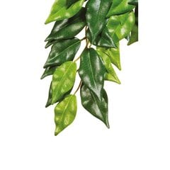 Dekoracija terariumams dirbtinis augalas Exoterra Ficus, S kaina ir informacija | Prekės egzotiniams gyvūnams | pigu.lt