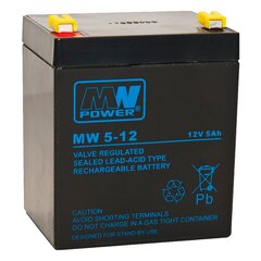 Аккумулятор MWPower MW 12V 5Ah F2 (250) AGM цена и информация | Аккумуляторы | pigu.lt