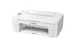 Canon PIXMA TS3151 MFP Wi-Fi Printer / Scanner / Copier inkjet color цена и информация | Spausdintuvai | pigu.lt