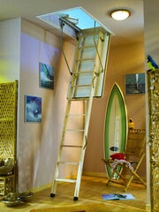 Чердачная лестница DOLLE F30 120 x 70 см цена и информация | Лестницы | pigu.lt