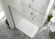 Walk-In dušo kabina Sanplast Altus PIII/ALTIIa 100s kaina ir informacija | Dušo durys ir sienelės | pigu.lt