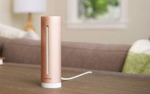 Метеостанция для умного дома Netatmo NHC-EC цена и информация | Метеорологические станции, термометры | pigu.lt