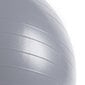 Gimnastikos kamuolys Spokey Fitball 65 cm, pilkas kaina ir informacija | Gimnastikos kamuoliai | pigu.lt