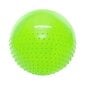 Gimnastikos kamuolys Spokey Half Fit 65 cm, žalias kaina ir informacija | Gimnastikos kamuoliai | pigu.lt
