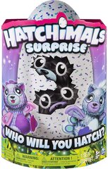 Синее/Фиолетовое яйцо с 2 домашними животными HATCHIMALS игрушка цена и информация | Игрушки для мальчиков | pigu.lt