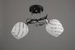 Lampex šviestuvas Nelson 2 kaina ir informacija | Lubiniai šviestuvai | pigu.lt