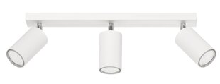 Lampex потолочная лампа Rolos 3 цена и информация | Потолочные светильники | pigu.lt