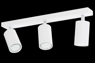 Lampex потолочная лампа Rolos 3 цена и информация | Потолочные светильники | pigu.lt
