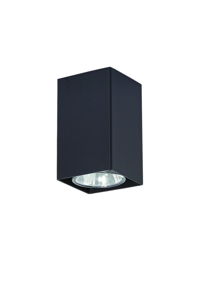 Lampex šviestuvas Nero Juodas kaina ir informacija | Lubiniai šviestuvai | pigu.lt