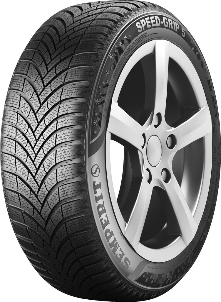 Padangos Winter RW06 109/107 T ( F E 73dB ) HANKOOK 215/60R17C kaina ir informacija | Žieminės padangos | pigu.lt