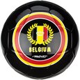 Futbolo kamuolys Avento World Soccer Belgium, 5 dydis