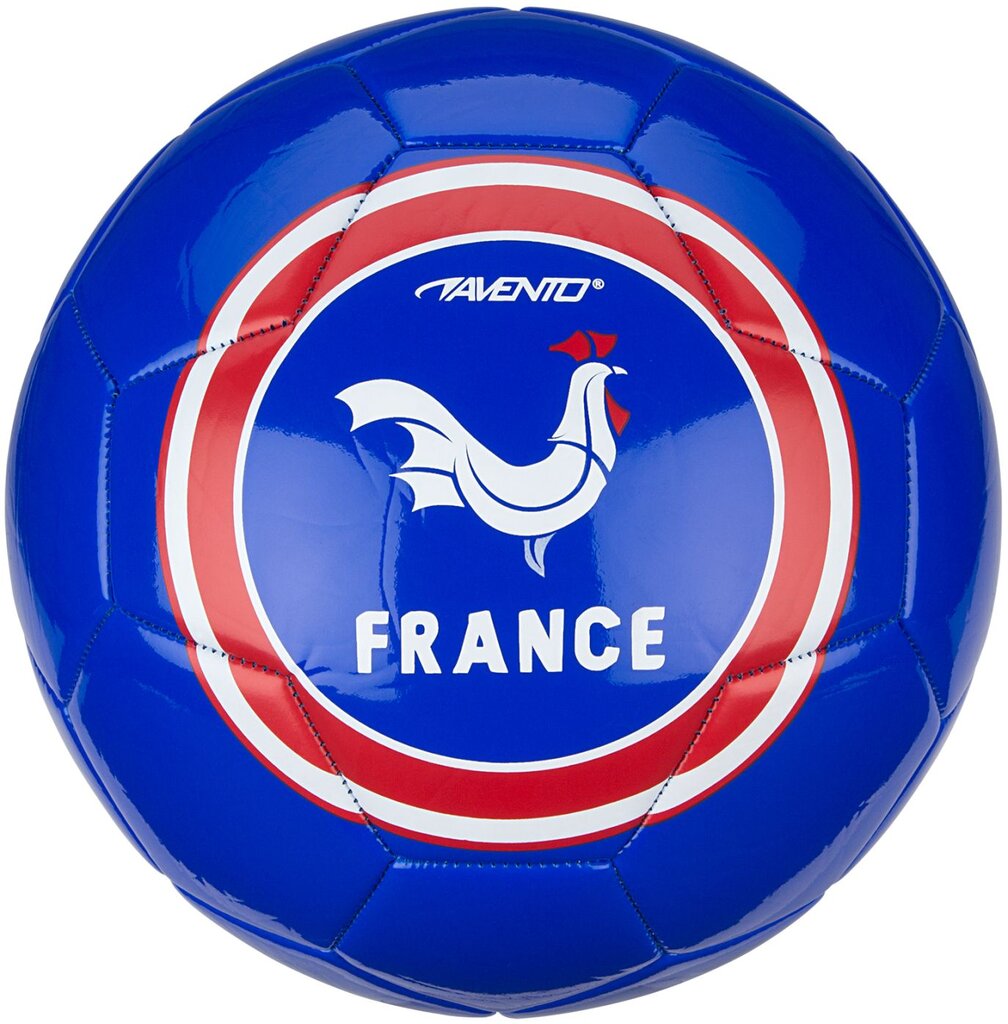 Futbolo kamuolys Avento World Soccer France, 5 dydis цена и информация | Futbolo kamuoliai | pigu.lt