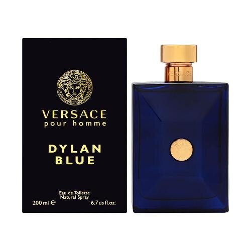 Tualetinis vanduo Versace Pour Homme Dylan Blue EDT vyrams 200 ml цена и информация | Kvepalai vyrams | pigu.lt