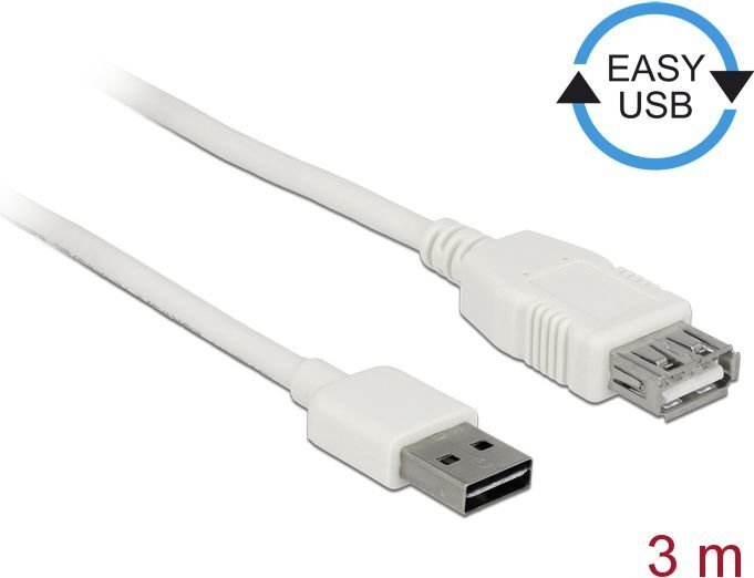 Esasy USB laidas Delock, 3m, baltas цена и информация | Kabeliai ir laidai | pigu.lt