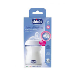 Buteliukas Chicco Natural Feeling 250 ml su silikoniniu žinduku 2 m+ kaina ir informacija | Buteliukai kūdikiams ir jų priedai | pigu.lt