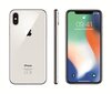 Apple iPhone X 256GB, Sidabrinė цена и информация | Mobilieji telefonai | pigu.lt