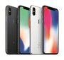 Apple iPhone X 256GB, Sidabrinė kaina ir informacija | Mobilieji telefonai | pigu.lt