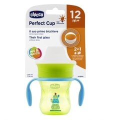 Puodelis 360 Chicco, 12+ mėn, 200 ml kaina ir informacija | Buteliukai kūdikiams ir jų priedai | pigu.lt