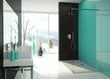Walk-In dušo kabina Sanplast Free Line P/Free II 110s kaina ir informacija | Dušo durys ir sienelės | pigu.lt