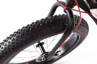 Vyriškas kalnų dviratis Louke Fat bike, 26" kaina ir informacija | Dviračiai | pigu.lt
