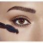 Blakstienų tušas Max Factor 0000096137215 kaina ir informacija | Akių šešėliai, pieštukai, blakstienų tušai, serumai | pigu.lt