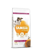 Iams ProActive Health для пожилых собак мелких и средних пород с курицей, 12 кг цена и информация |  Сухой корм для собак | pigu.lt