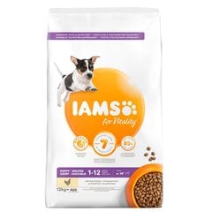 Iams ProActive Health mažų ir vidutinių veislių šuniukams su vištiena, 12 kg kaina ir informacija | Sausas maistas šunims | pigu.lt