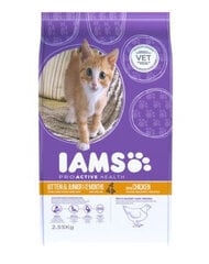 Iams ProActive Health Kitten & Junior su vištiena, 10 kg kaina ir informacija | Sausas maistas katėms | pigu.lt