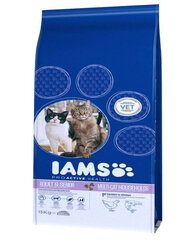 IAMS sausas maistas ProActive Health Adult & Mature & Senior​ su lašiša ir vištiena, 15 kg kaina ir informacija | Sausas maistas katėms | pigu.lt