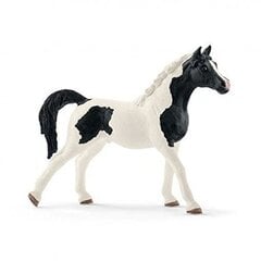 Фигурка Жеребец породы Пинтабская Schleich Horse Club цена и информация | Игрушки для мальчиков | pigu.lt