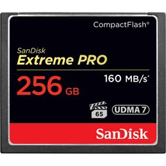 Atminties kortelė SanDisk SDCFXPS-256G-X46 kaina ir informacija | Atminties kortelės fotoaparatams, kameroms | pigu.lt