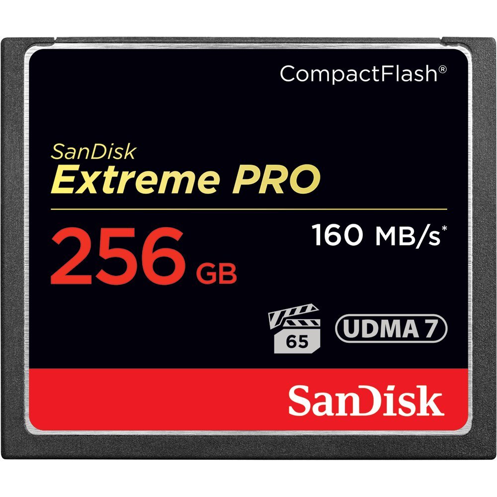 Atminties kortelė SanDisk SDCFXPS-256G-X46 цена и информация | Atminties kortelės fotoaparatams, kameroms | pigu.lt