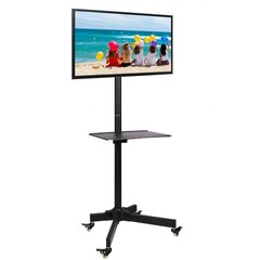 Мобильная подставка Techly TV LED/LCD 19-37", 20кг, с 150см AV полкой цена и информация | Кронштейны и крепления для телевизоров | pigu.lt