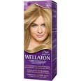 Plaukų dažai Wella Wellaton 100 g, 8/1 Light Ash Blonde