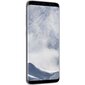 Samsung Galaxy S8 (G950) 64GB, Arctic Silver цена и информация | Mobilieji telefonai | pigu.lt