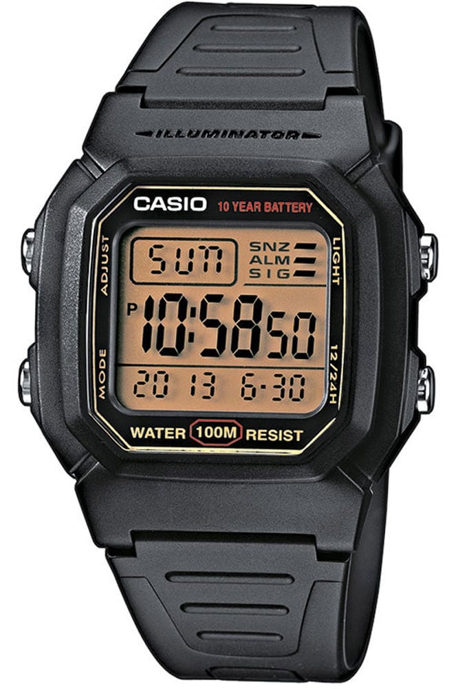 Laikrodis Casio W-800HG-9A цена и информация | Vyriški laikrodžiai | pigu.lt