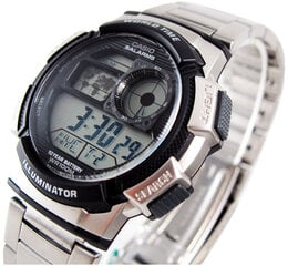 Casio Collection мужские часы цена и информация | Мужские часы | pigu.lt