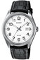 Laikrodis moterims Casio LTP-1302PL-7B kaina ir informacija | Moteriški laikrodžiai | pigu.lt