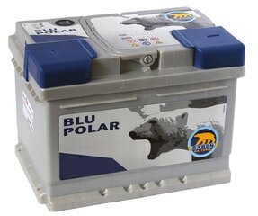 Akumuliatorius BAREN POLAR BLU 64Ah 610A, kairinis цена и информация | Akumuliatoriai | pigu.lt