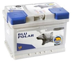 Akumuliatorius BAREN POLAR BLU 54Ah 520A цена и информация | Akumuliatoriai | pigu.lt