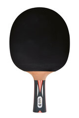 Ракетка для настольного тенниса Donic Top Team 900 цена и информация | Ракетки для настольного тенниса, чехлы и наборы | pigu.lt