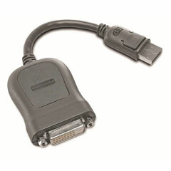 Адаптер для DisplayPort на DVI Lenovo 45J7915м, серый, 0.2 м цена и информация | Lenovo Компьютерные аксессуары | pigu.lt