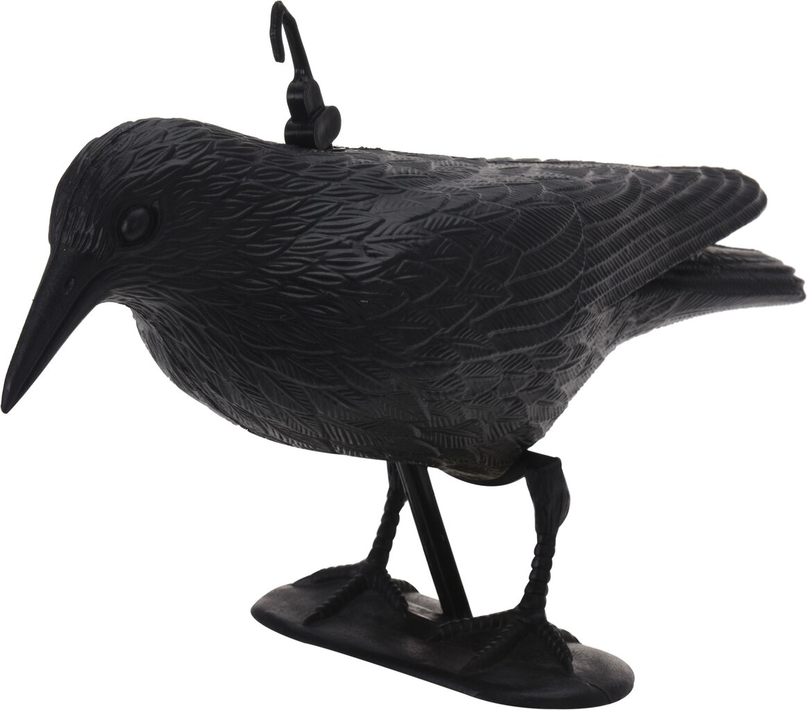 Dekoratyvinė varna paukščiams baidyti kaina ir informacija | Sodo dekoracijos | pigu.lt